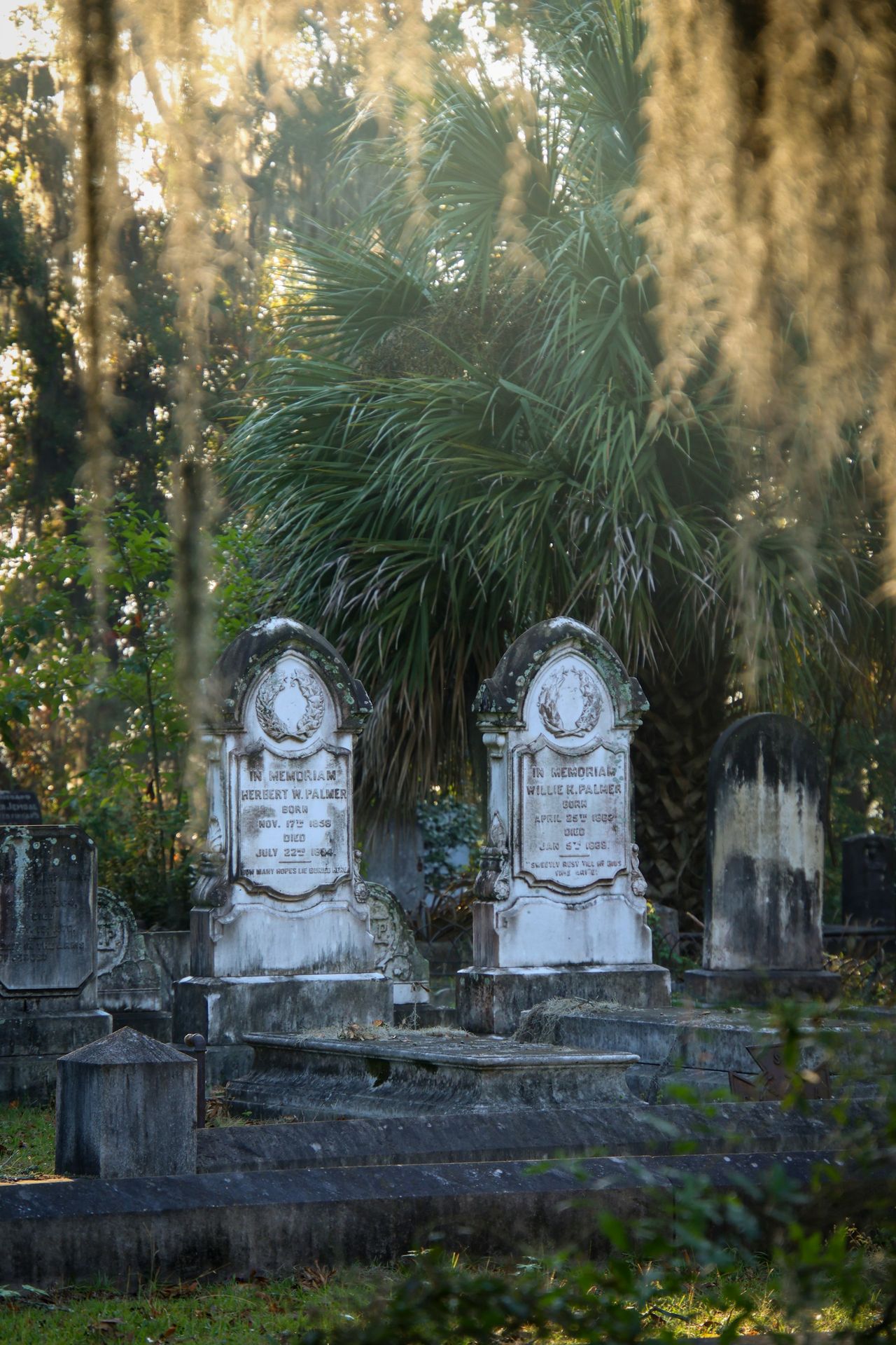 A group of tombstones in a cemetery with trees in the background